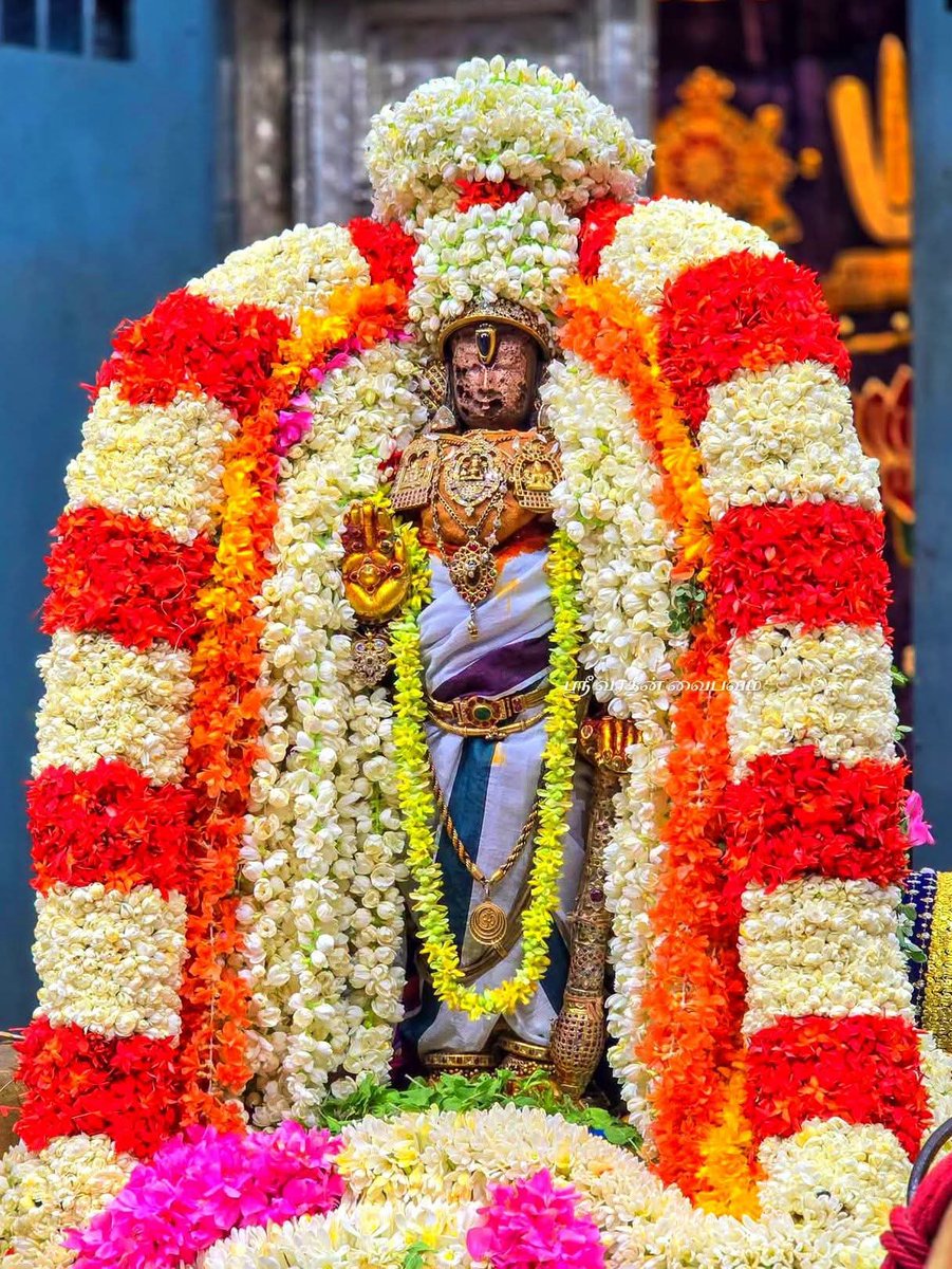 FCAACMA1976's tweet photo. Kanchipuram Sri Perarulaalan Kodai Uthsavam Day - 04 evening - Poocchaatru Sevai (21.06.2026) https://t.co/hwwe15zqh4