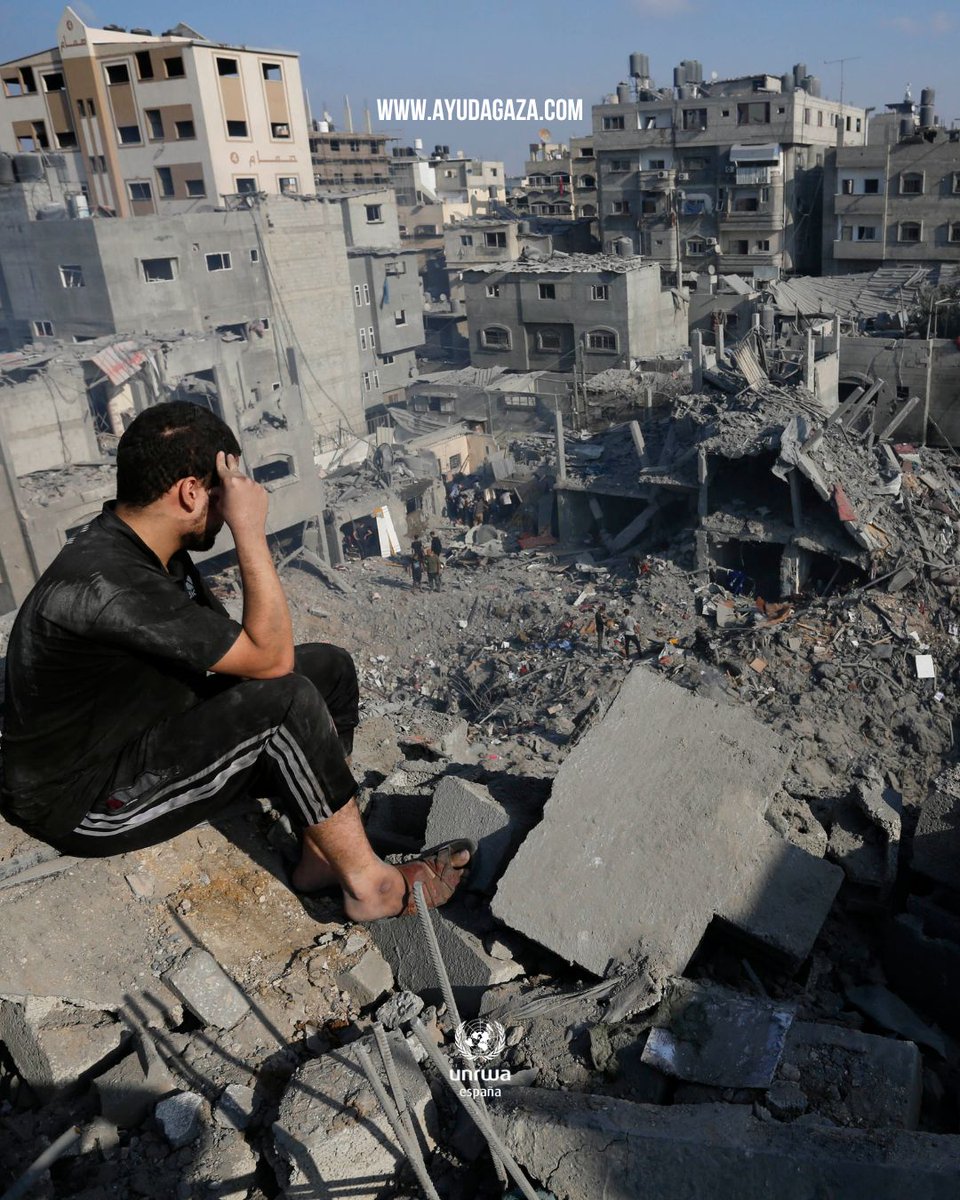UNRWAes's tweet photo. Gaza, todavía te miramos.
https://t.co/jMonW8szym https://t.co/OjPrlj6fIP
