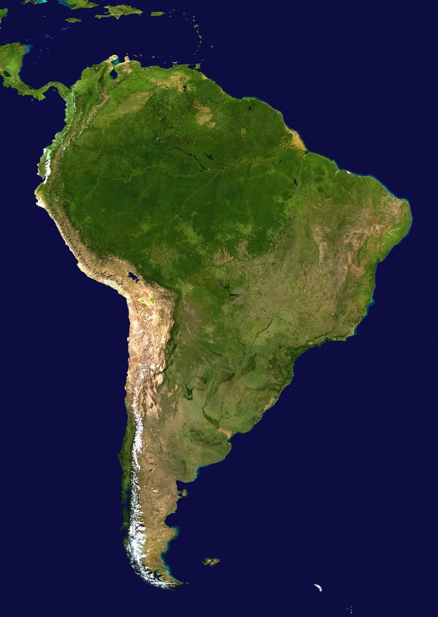 elaaguara tweet picture
