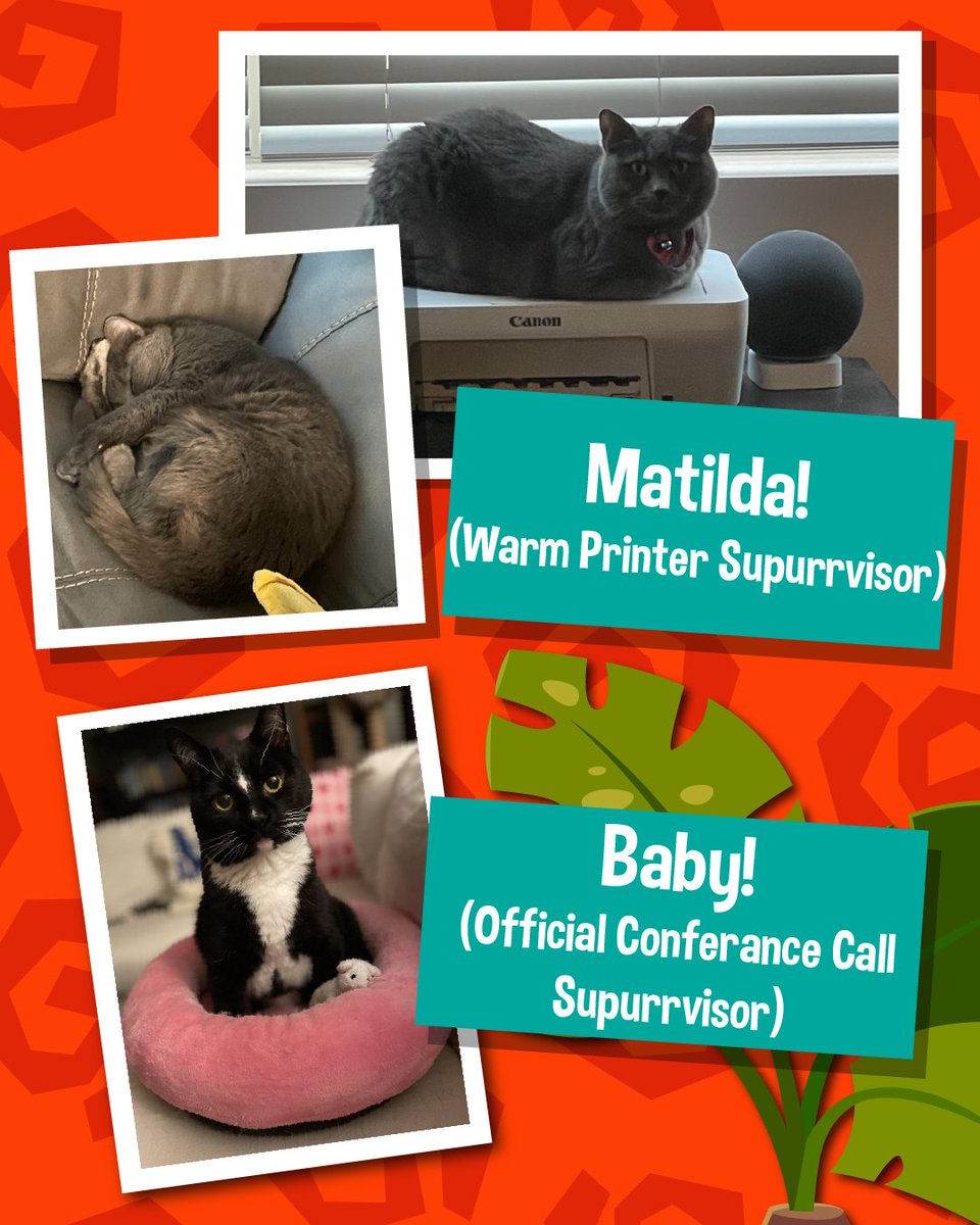 AnimalJam's tweet photo. It’s #MeowMonday AND Take Your Cat to Work Day! 🐾💼 AJHQ office's have officially been taken over by some very demanding "assistants."
Swipe to see our coworkers.💻 💤

#AnimalJam #AJHQ #TakeYourCatToWorkDay #CatsOfInstagram #GamingCommunity https://t.co/hY7POIPYgF