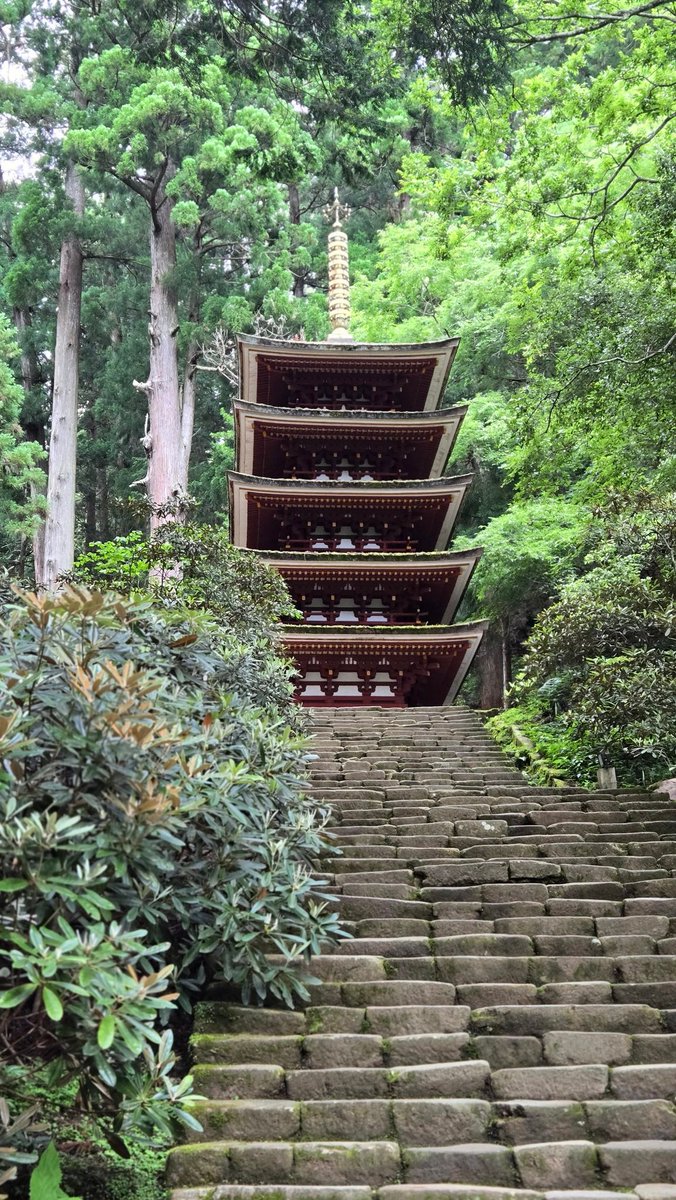 yakinikudora's tweet photo. 紫陽花の季節が終わる前に☺️今日も神社巡り😂
#紫陽花
#壺阪寺
#室生寺 https://t.co/qYStwoOXiK