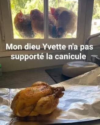 poule2droite's tweet photo. https://t.co/tVdfzlfrT5
