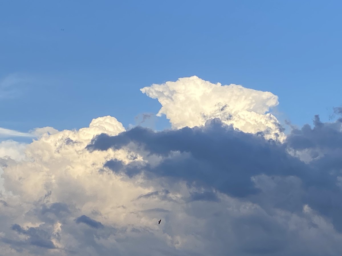 ZenithSv's tweet photo. #photo sky https://t.co/je7jUAU0j2