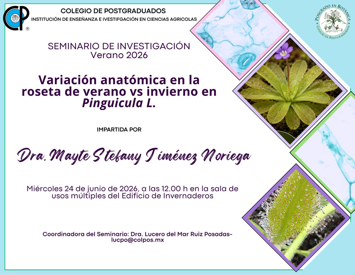 Botanica_Colpos's tweet photo. ¡Continuamos con el ciclo de Seminarios de Botánica Verano 2026!

Acompáñanos este miércoles 24 de junio 2026 ,a las 12 hrs. en la Sala de Usos Múltiples del Edificio de Invernaderos.

¡Te esperamos! ¡No faltes! https://t.co/4LNABAp5pr