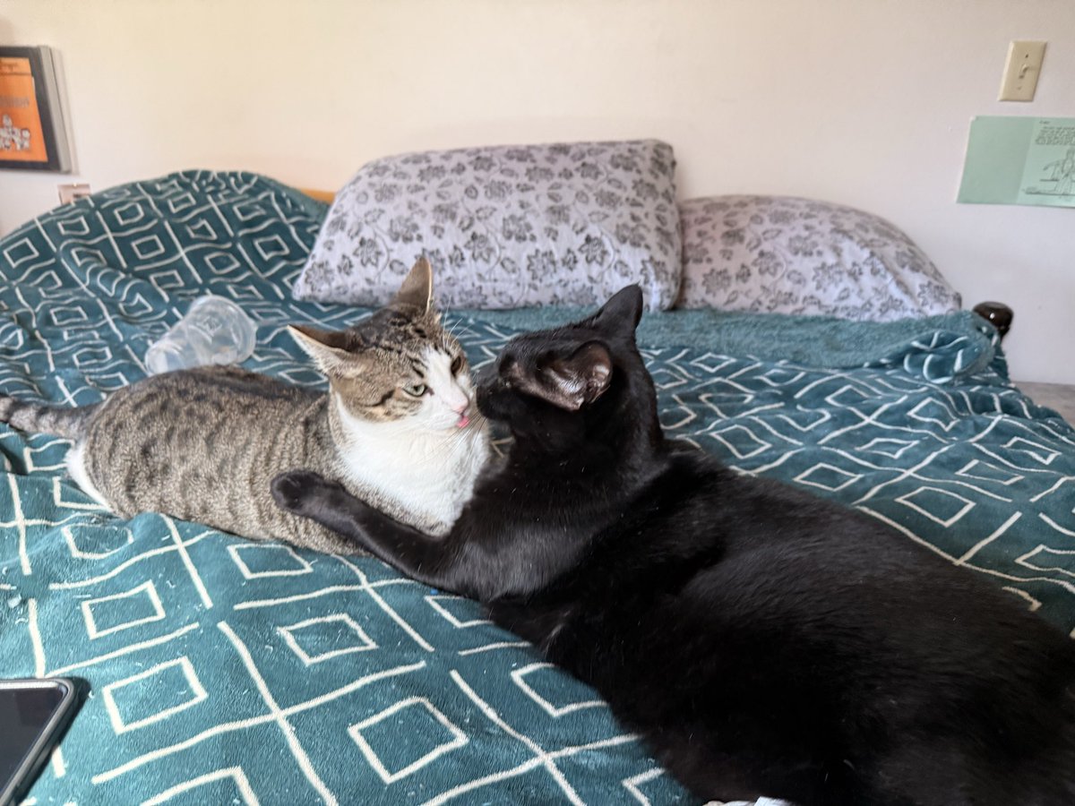 looksalotlikeme's tweet photo. Walked in on them kissing https://t.co/aHPRdsJj8v