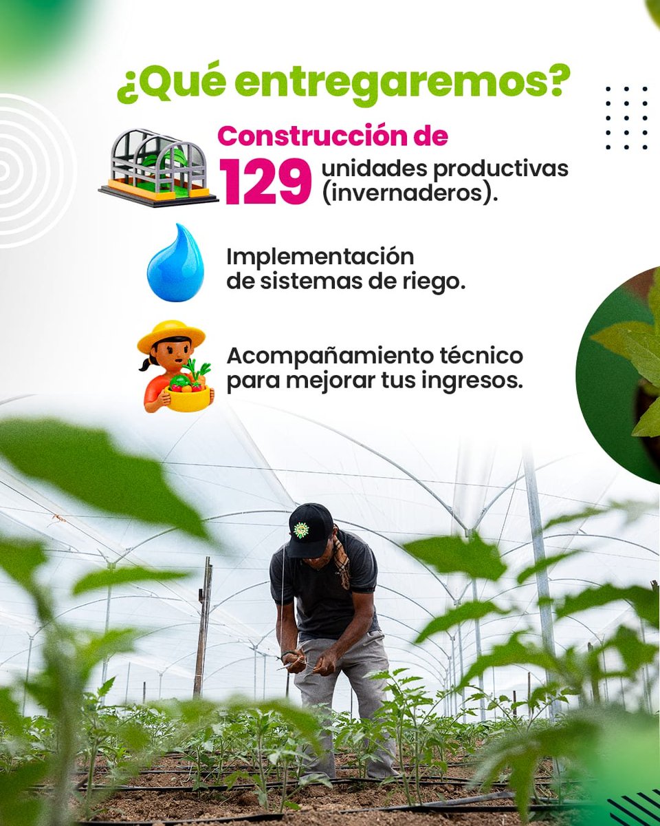 GobdelCesar's tweet photo. ¡Atención pequeños productores agropecuarios! 

El gobierno de @elviamilenasd, a través de la Secretaría de Agricultura y Desarrollo Empresarial de la Gobernación del Cesar, abre la convocatoria para seleccionar hasta 129 beneficiarios del proyecto de implementación de invernaderos. 

🧵