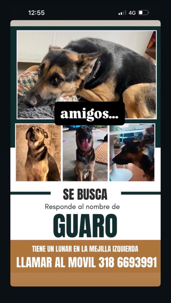 conycamelo's tweet photo. RT 

BTA, Teusaquillo. 

@losbuscamos_col https://t.co/LBVEw3P2s7