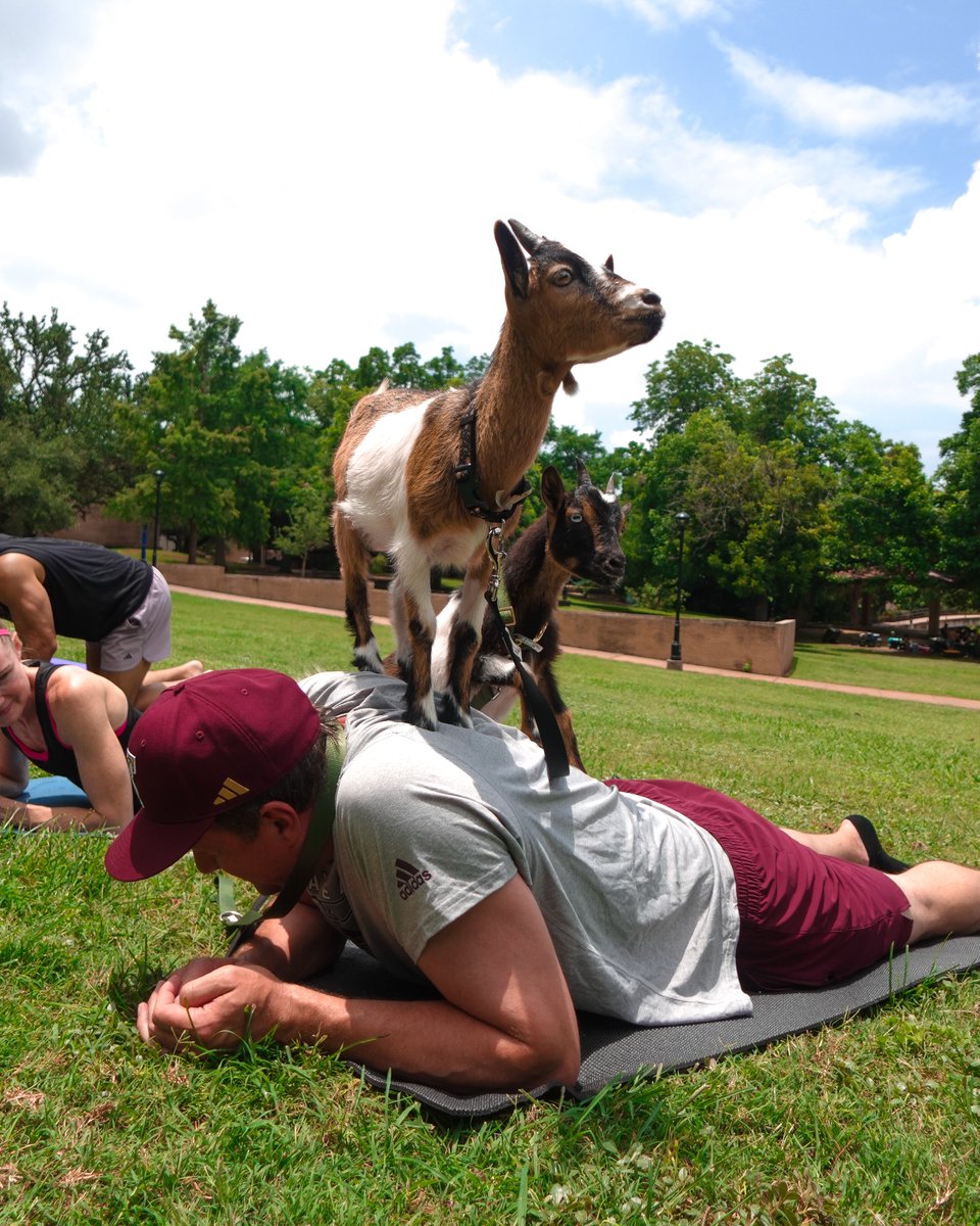 TXStateWBB's tweet photo. Anyone else having as good of a summer as us 😻

#EatEmUp https://t.co/ePSdxh0nQA