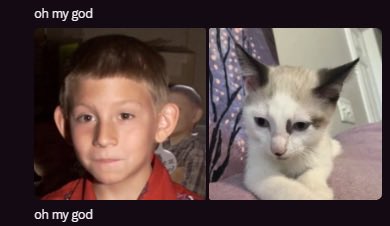 gloomypunks's tweet photo. My friends every time I post a delightful picture of my kitten, Zoomer https://t.co/AoCrBmKvoq