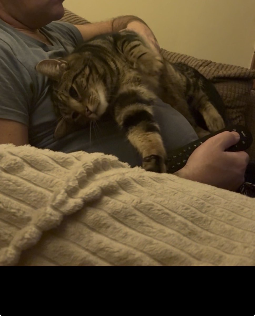 WezzaChezza's tweet photo. @catsareblessing We have one of those who adores my husband. https://t.co/BLY6RK53DG
