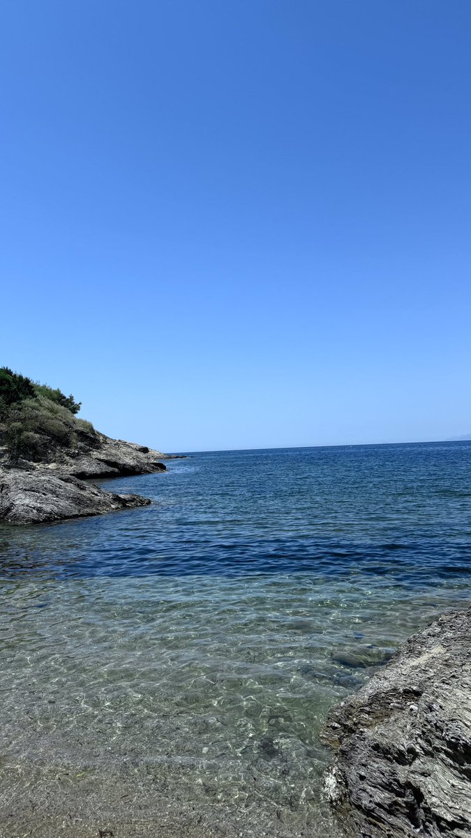 dtsgxjhzjz's tweet photo. vive le sud https://t.co/OihOAAZPjn