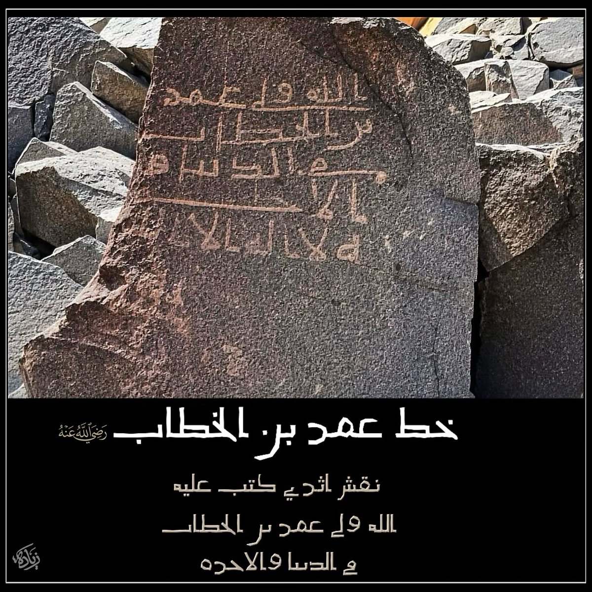 hamdy_eltony tweet picture