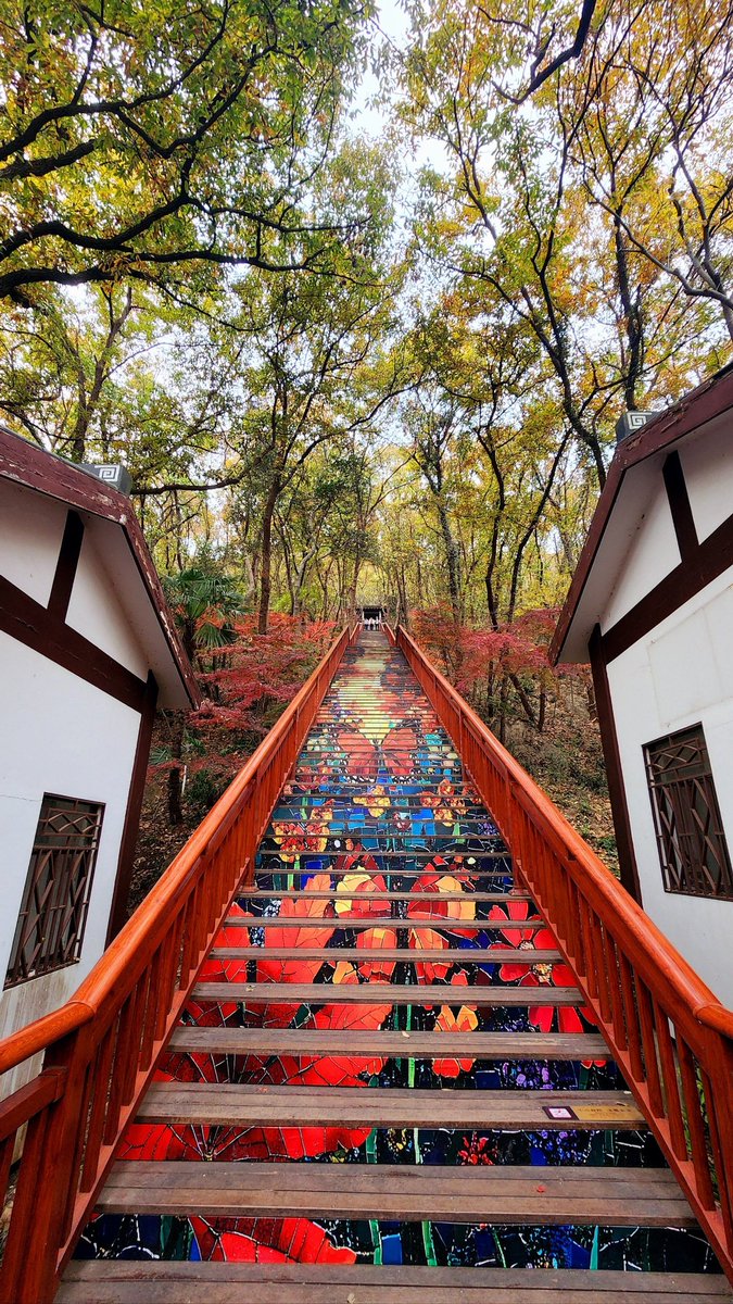 Alina52320122's tweet photo. Our campus photography club is launching a 3-day autumn scenic shoot challenge! Join us this weekend to capture golden maple leaves, crisp mornings and fun photo sessions—sign up via club link in bio now! https://t.co/01ZITzxHV3