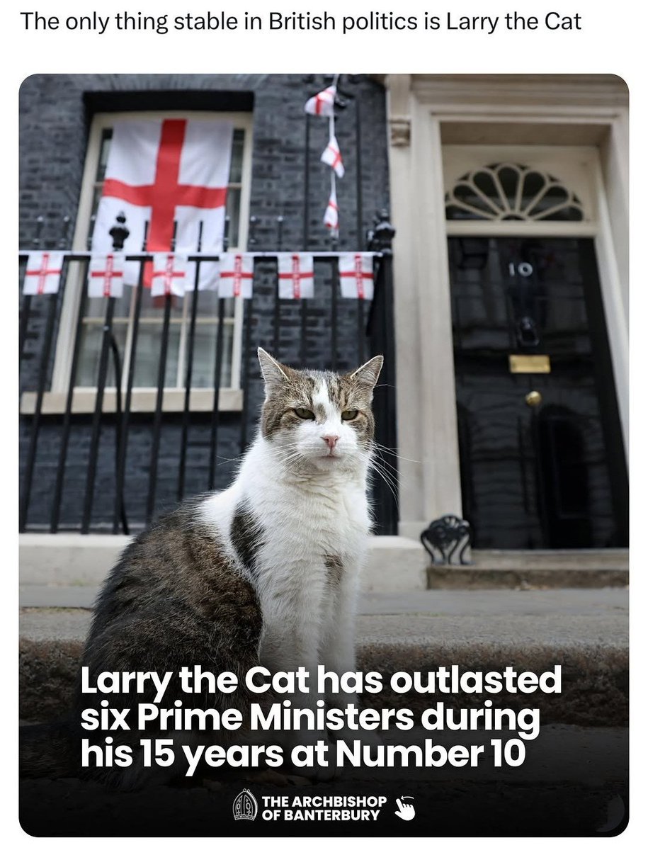 tuscolo's tweet photo. Larry the Cat , the only thing stable in British politics !
.
#uk
#resignations 
#resigned https://t.co/2eOU4ym8ON