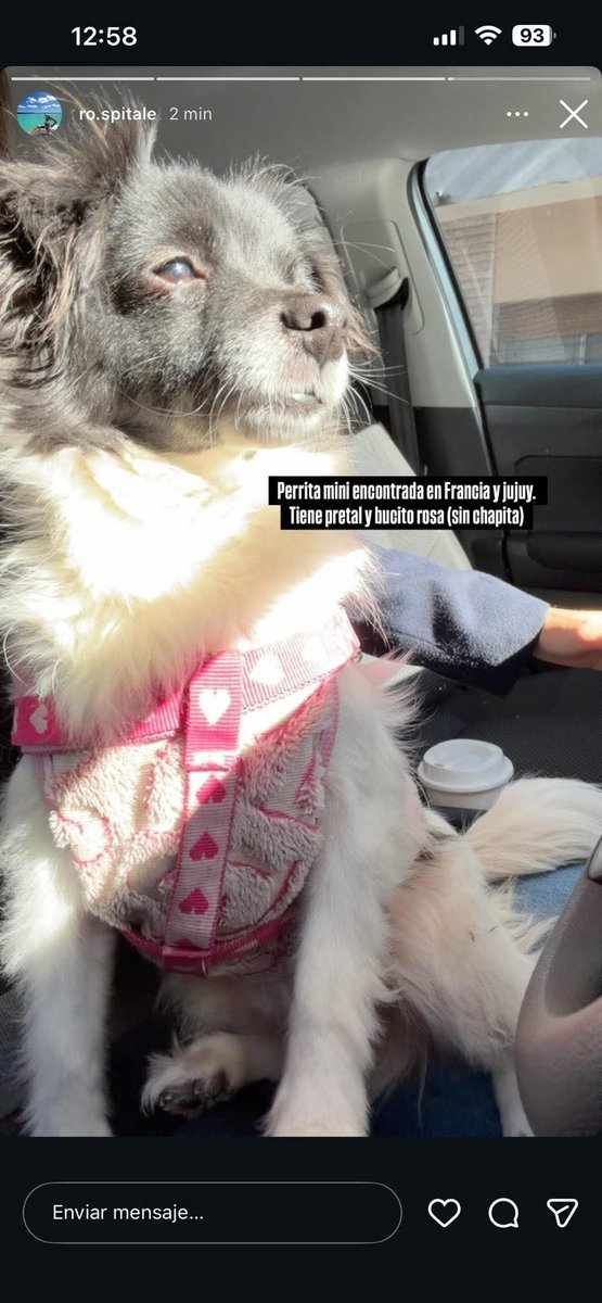 pelaleproso's tweet photo. ENCONTRAMOS ESTA PERRITA EN LA ZONA DE FRANCIA Y JUJUY

AYUDANME A DIFUNDIR Y ENCONTRAR SUS DUEÑOS
3413791847
@lacapital @Rosariotres @RosarioCentral @Newells @EscapeNoticias @LT8am830 @680Lt3 @radioboing @teleferosario https://t.co/JlooZMCCmt