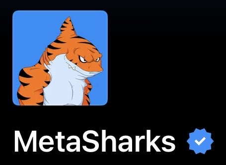 MetaSharks ✳️🦈 tweet media