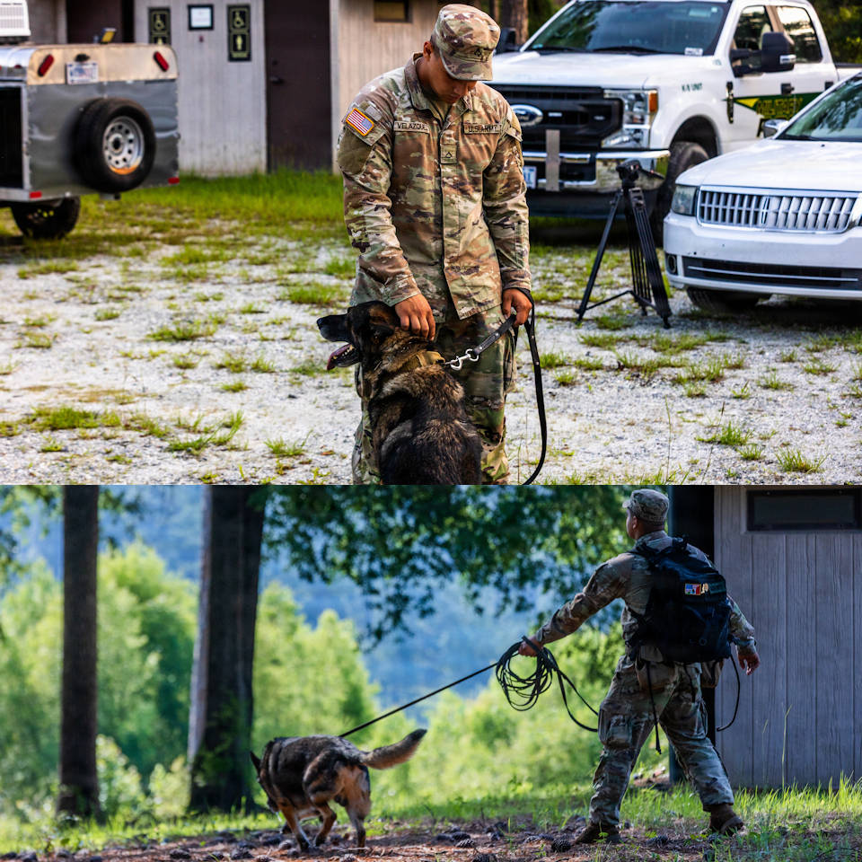 USAPatriotismOg's tweet photo. A profound connection is quietly reinforced everyday at the 904th Military Working Dog Detachment kennels. It is a bond measured in countless hours of patience, repetitive commands and the shared understanding between a Soldier and MWD.
https://t.co/12YC2dvqYO https://t.co/kUAwv7aV5o