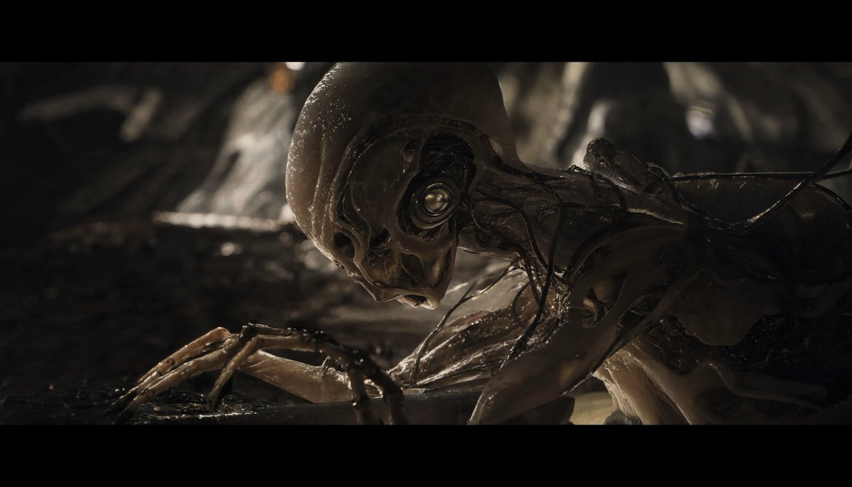 moinzek's tweet photo. First time trying the alien species: https://t.co/MayeWfc4q3