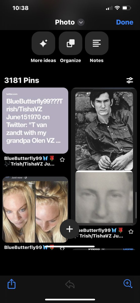 Butterfly99Blue's tweet photo. T Van Zandt https://t.co/PRMnPHj92f