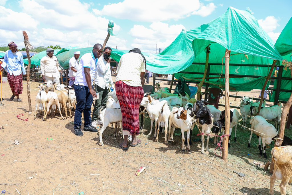 Trade_Kenya's tweet photo. Garissa County offers immense trade opportunities, led by livestock and supported by agro-businesses like lemons, sunflower, mangoes and bananas.

Today, a team from the State Department for Trade led by Deputy Director for Trade Mathew Komen toured the county to assess market infrastructure with the aim of improving market access, addressing trade barriers, promoting value addition and building trader capacity, while raising awareness of bilateral trade agreements and intra-county trade.

The visit is part of county-level engagements in the Boni Enclave which seeks to strengthen market systems and sustain economic gains alongside improved security across Lamu, Kilifi, Garissa, and Tana River counties which form the enclave.

The Garissa visit builds on earlier engagements in Lamu and Kilifi. During the tour, the team paid courtesy calls on Garissa County Commissioner John Cheruiyot and Chief Officer for Trade and Investment Jael Odhiambo.

Both meetings underscored the need for collaboration in supporting peace building and security to deliver economic growth in the Boni Enclave and surrounding areas.