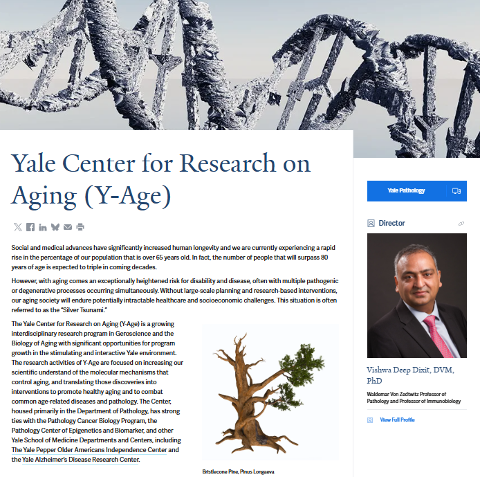 YaleAge's tweet photo. We seek to fill a tenure-track faculty position at the Assistant or Associate Professor Level (PhD or MD/DVM/PhD) to build an interdisciplinary research program here at @YaleAge, part of @YalePathology &amp; @YaleMed. #pathologyjobs Learn more &amp; apply here: https://t.co/xPvj6fuSH8 https://t.co/jMmp3WRNdh
