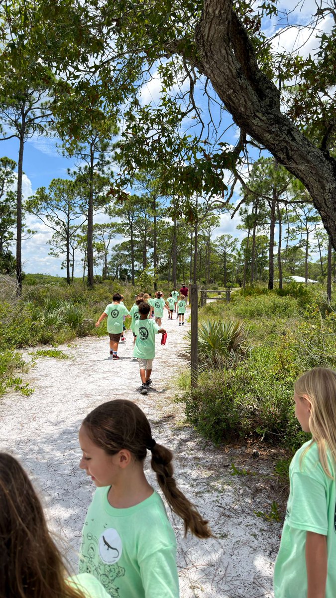 MCSDFlorida tweet picture