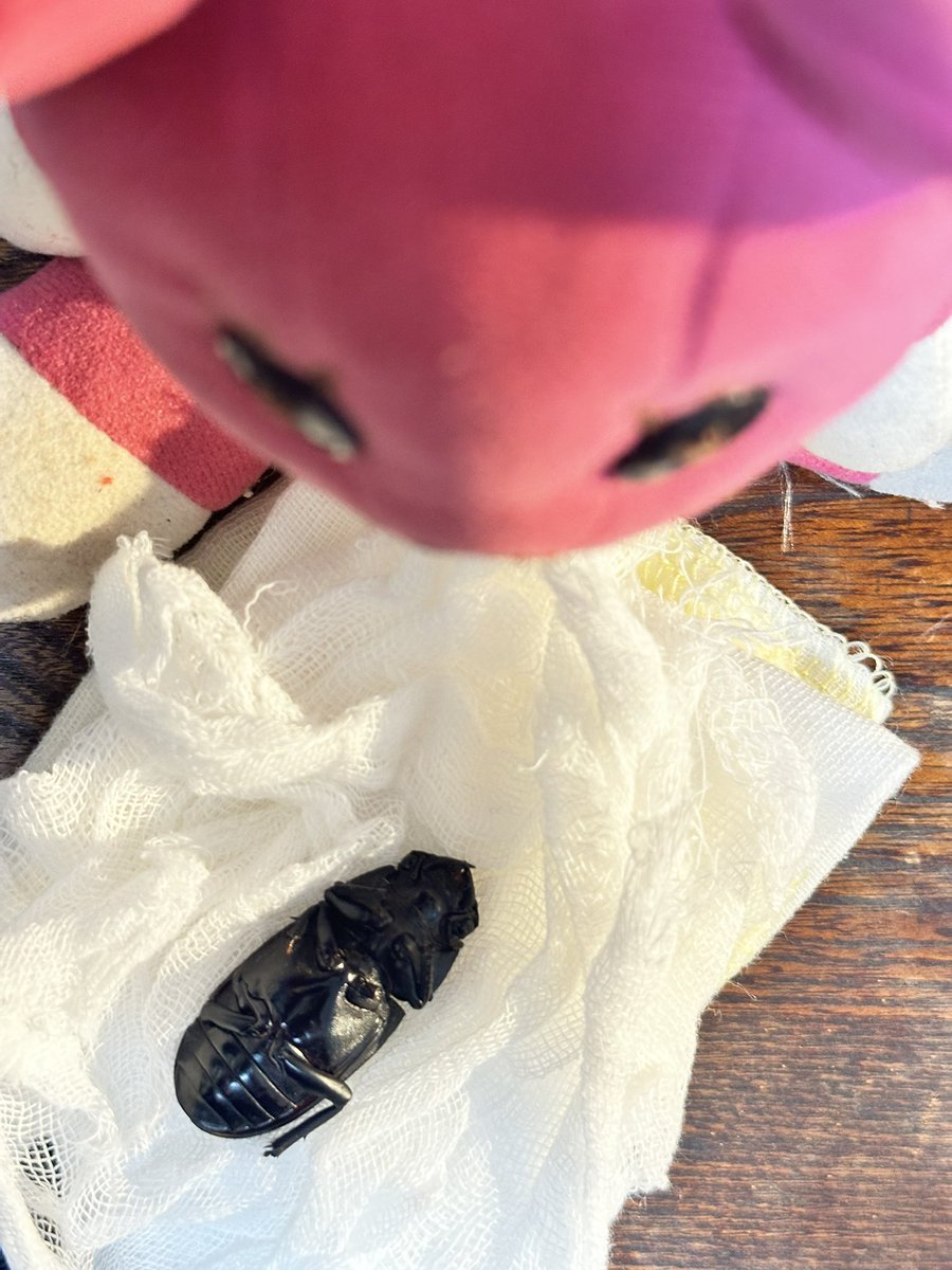 fukumiyarumi's tweet photo. #おせきはん →お
#チンキ →チ
お チンキ!
モデルやりはじめたの?同居人のモデルならブラック会社よりまっくろなんだからね!キチンと雇用契約結んだの?
チ モデルしたら胸元ストーカーさせてくれるし、高待遇なのよ。知らないの?
お …世間知らずめ!
#postpet #幸福のテディベア #クワガタ https://t.co/630Y7JuKaK