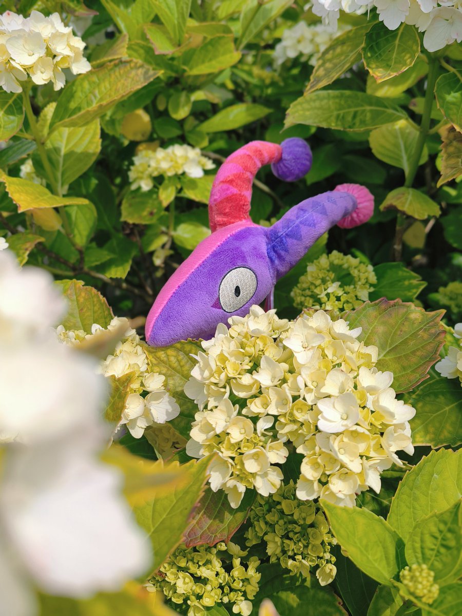 spacedoutpup's tweet photo. let's play hide and seek with phantom!! 

🩷 #GavisBaggel 💜 https://t.co/t7uDs3yiRf