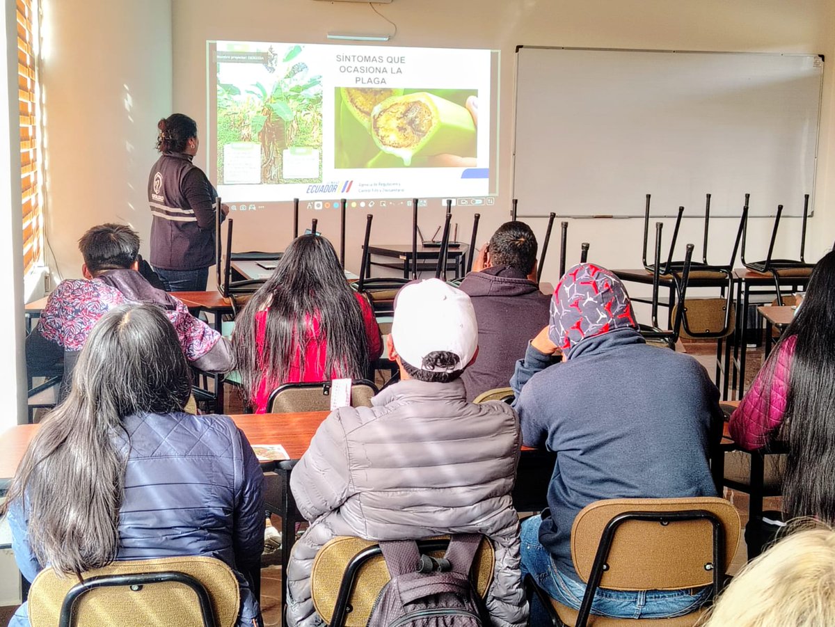 AgrocalidadZ1's tweet photo. #Carchi | 🎓🌱 Capacitamos a estudiantes de Agropecuaria de la UPEC sobre sintomatología y epidemiología de #FocR4T y #Ralstonia. Fortalecemos conocimientos técnicos para proteger el estatus fitosanitario del país.
#AgrocalidadCapacita https://t.co/g87Ssu5XEt