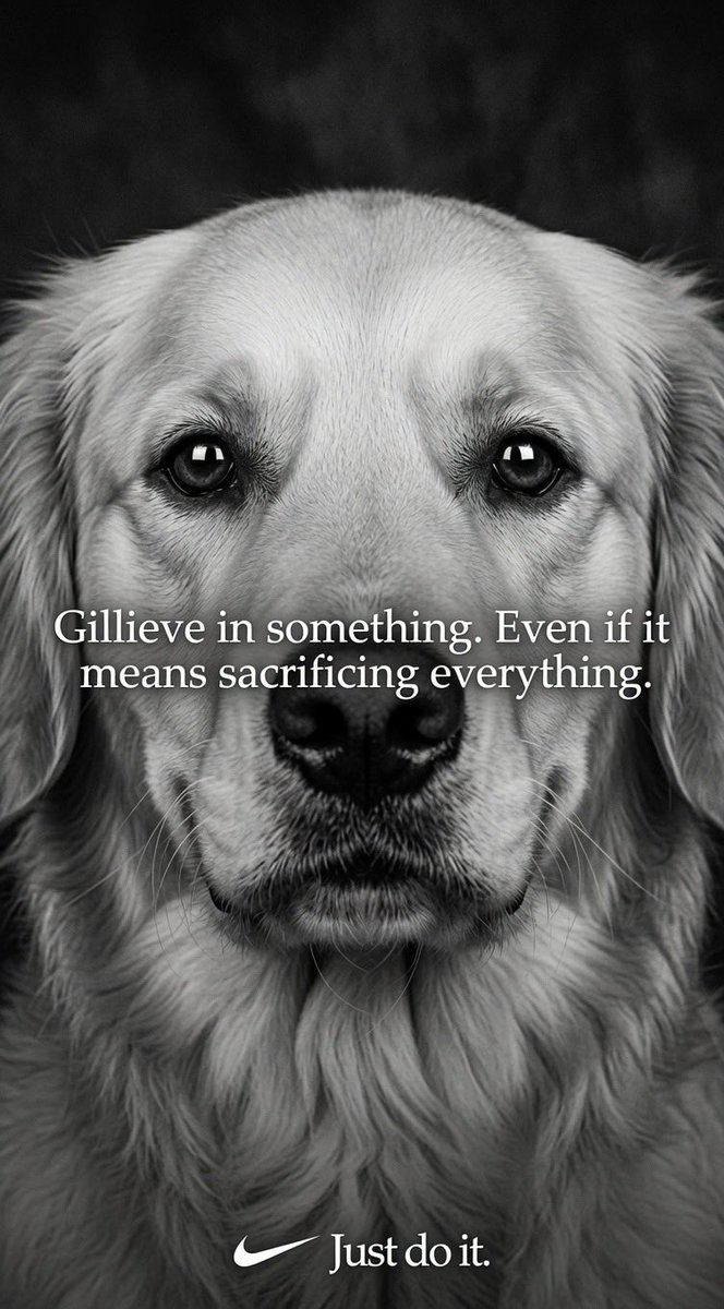 WOOF tweet media
