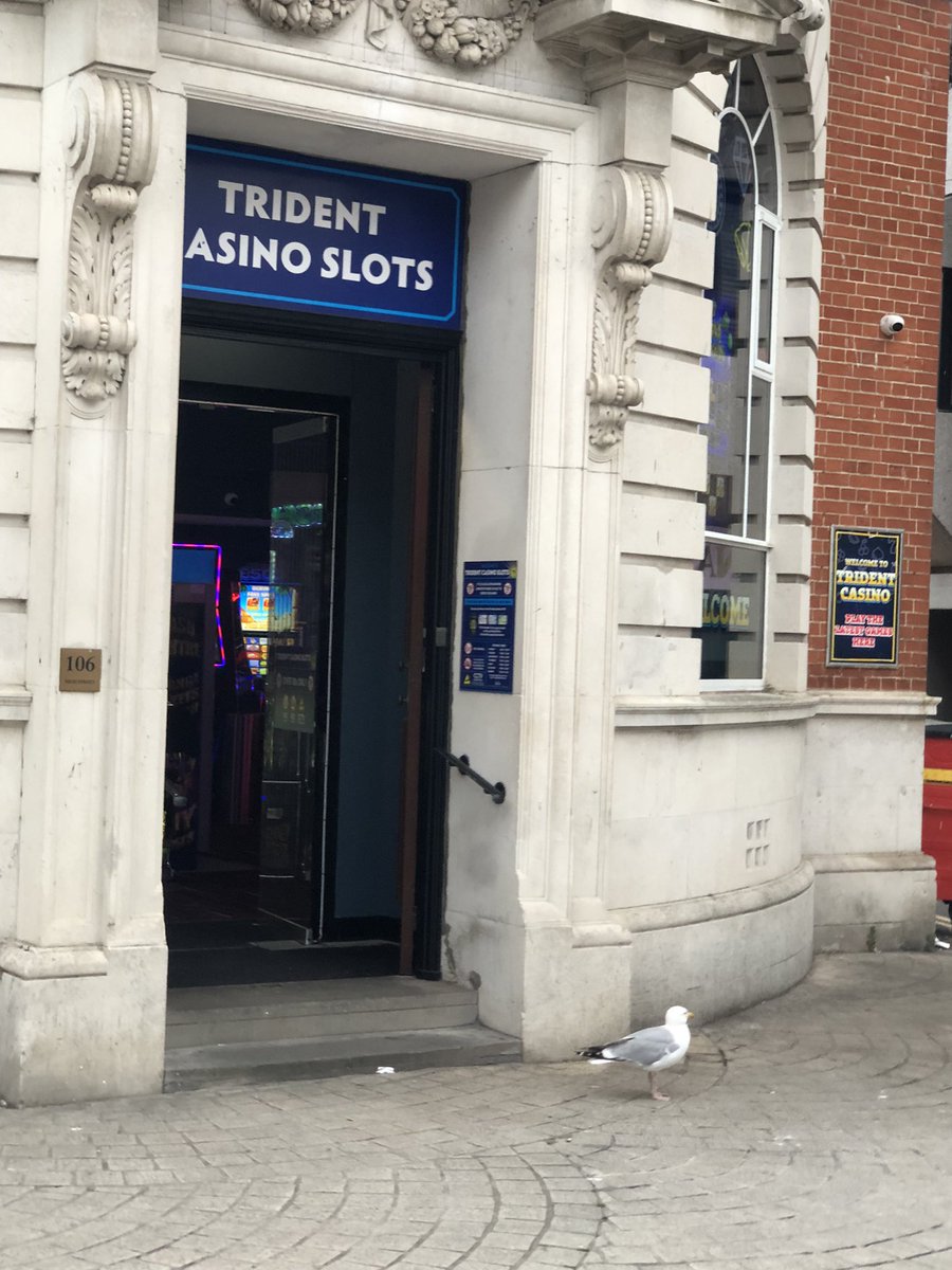 Corvus_SSBU's tweet photo. Just saw this seagull come out of this casino think he just lost his life savings https://t.co/yKy5I96NtR