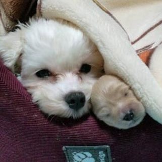 poutarou's tweet photo. #新しいプロフィール画像 https://t.co/RJCnUtydzk