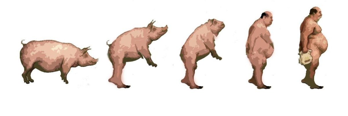 LRouuge's tweet photo. @TheWatcherX1 @STPeach Homo sapiens is literally a monkey you dumb piggy stay in your lane we are not the same https://t.co/ZLYJxizHYX