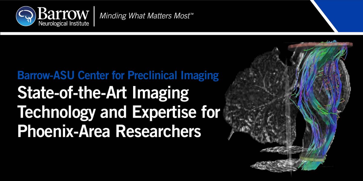 BarrowNeuro's tweet photo. Barrow &amp; @ASU share a mission of advancing biosciences across #AZ. That’s why we teamed up to establish the Barrow-ASU Center for Preclinical Imaging, which provides essential core technologies &amp; professional expertise to Valley researchers. Learn more at https://t.co/QvW4hwcNGD. https://t.co/e2spxeui5E