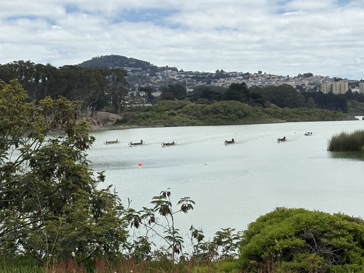 RecParkSF tweet picture
