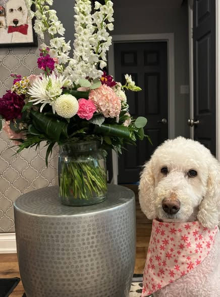 DoodleNessa's tweet photo. Losing Nessa left a massive void in our home, but seeing it filled with gorgeous flowers from so many amazing people has been deeply healing. Thank you all for wrapping us in love and keeping Nessa’s memory alive. 🙏❤️Nessa always stopped to smell the flowers🫶 https://t.co/4vtscVojqH
