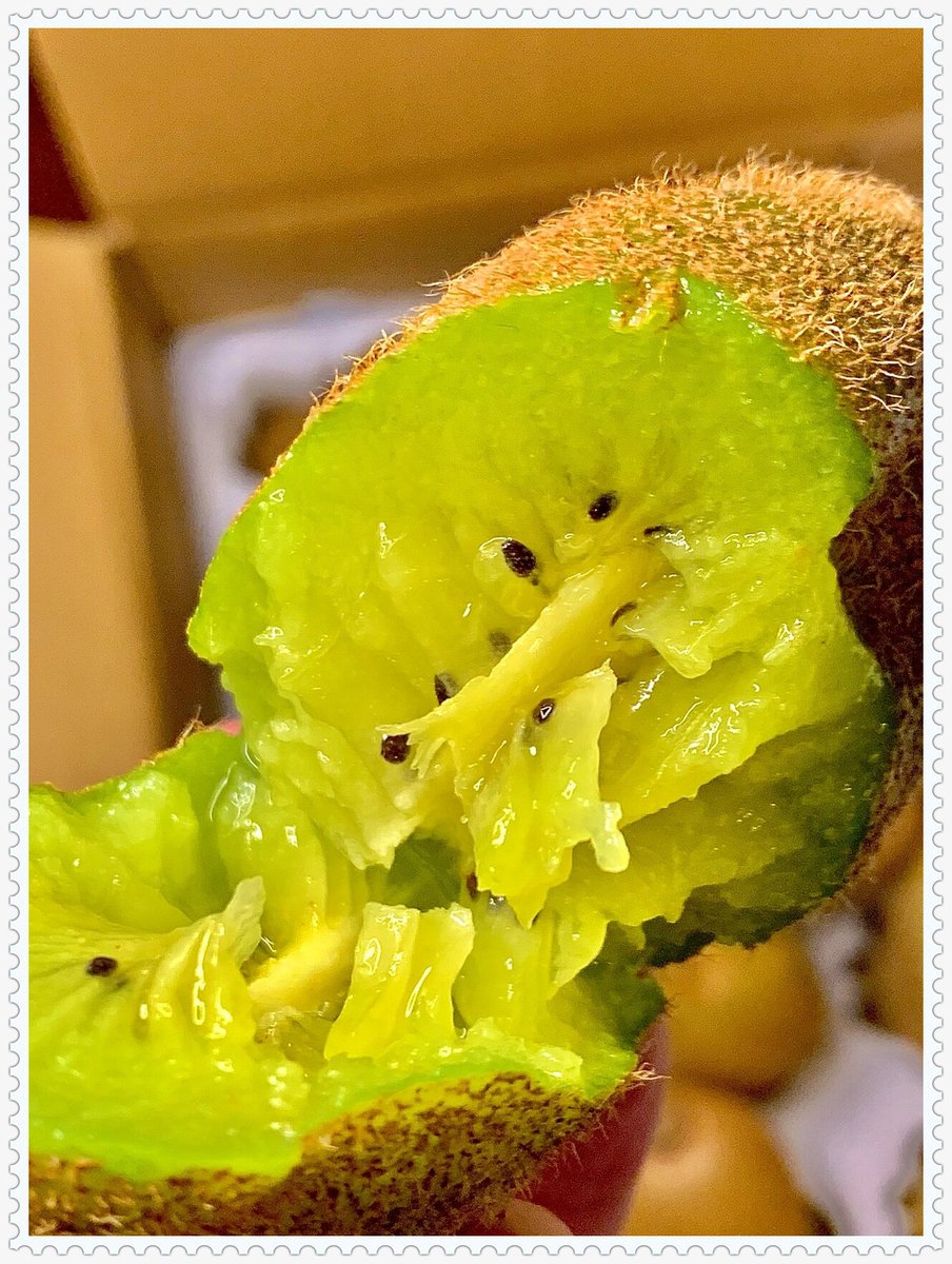 GeLya95874809's tweet photo. Just tried the organic cherry tomatoes from local farm—bursting with sweet juiciness, zero weird aftertaste! Perfect for quick salads or snacking. Highly recommend  #FreshProduce https://t.co/Lto1pkCuoI