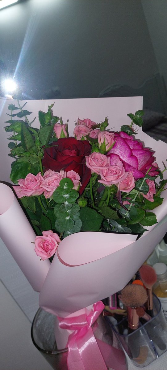 atena_hsd's tweet photo. انتخاب بین لیلوم و مینی رز سخته واقعا بنظر شما کدوم؟ https://t.co/DGFiFAXOHs