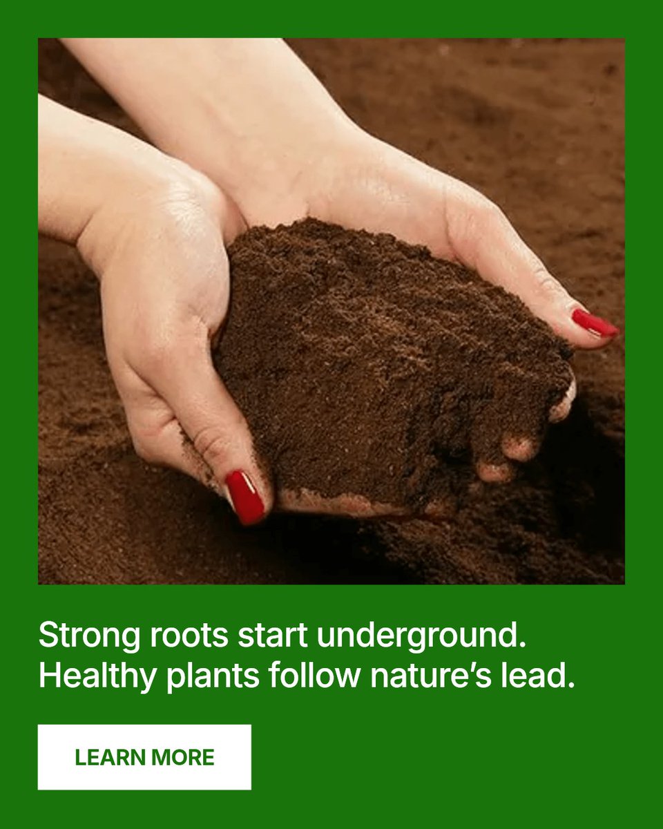 RevOrganic's tweet photo. Feed the soil first. Healthy roots and resilient plants follow. Grow with nature, not against it.

Learn More https://t.co/R4zeBtCxDK #organicgardening #Garden #Plants #soilhealth https://t.co/PCVnj3t0fS