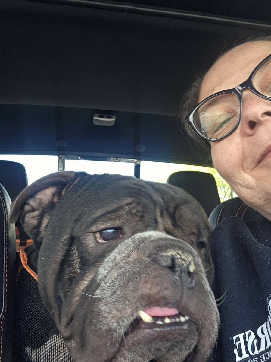 PoundHoundsResQ's tweet photo. Hi, thanks for pledging for DUSTER D DAWG 255024. We Pound Hounds pulled this dog. You can abide by your pledge here: https://t.co/CECAPp12Oh

@brunosmom0408 $10 
@877CallLaw $20 
@TikiTiQue $10 https://t.co/0AfgcqVdCy