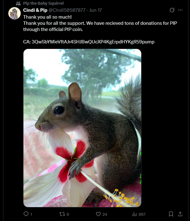 OldPineAriel's tweet photo. why is there a diff CA in their twitter? lmao https://t.co/GexTX2pAkc