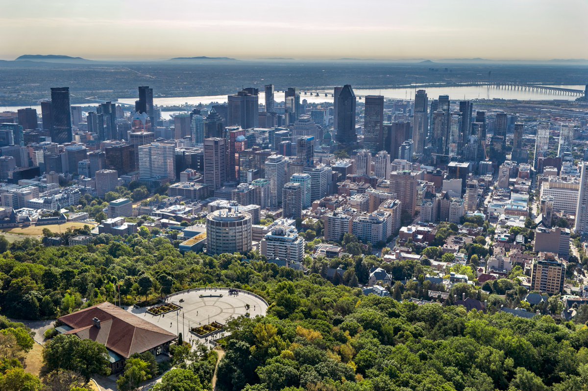 Montreal's tweet photo. Summer in the city. 🌿

📷 Leo Films #montreal https://t.co/6tbgDVb6BM