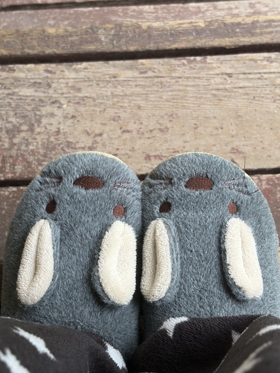 more4maple's tweet photo. cute bunny slippers on the porch !! 😋🐰

#footfetısh #footworship #slippers #findom https://t.co/fgGaUEYi1x