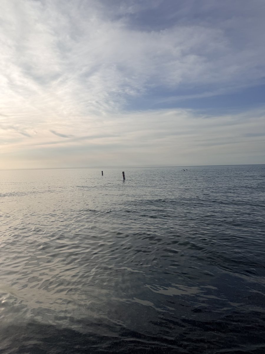 jpottermiller's tweet photo. @FreddyLA7 We stopped at Warren Dunes State Park in New Buffalo, Michigan and it was stunning! The great lakes are amazing. https://t.co/Qc25xGj48v