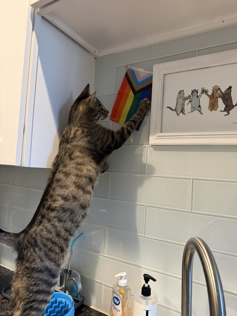 KYL0JEN's tweet photo. In this house we stand for the flag https://t.co/HL6emX41aj