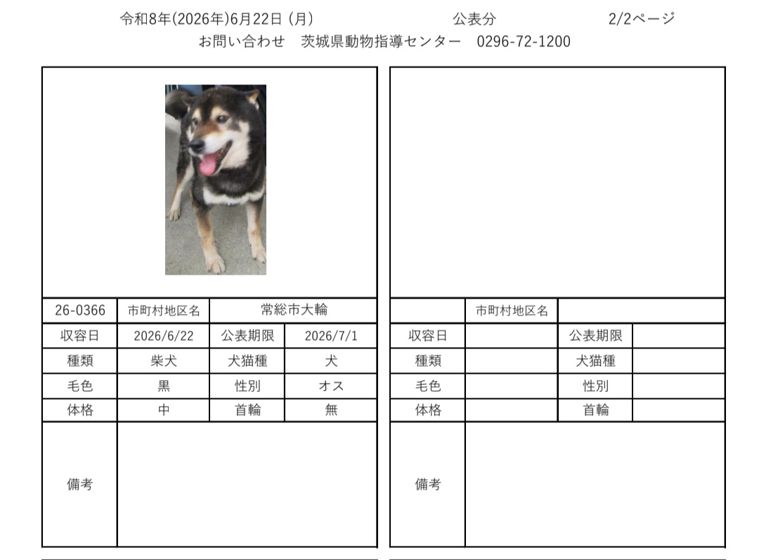 omitama_kankyo's tweet photo. 6月22日現在
茨城動物指導センターに保護されている、徘徊迷い犬子犬です。
心当たりのある方は、茨城県動物指導センターへ至急お電話お願い致します。

茨城県動物指導センター
(受付時間　平日　8:30~17:15)
0296-72-1200
#迷い犬
#迷い猫
#犬
#猫
#茨城県迷子犬
#茨城県迷子猫 https://t.co/yFK8uCm3TK