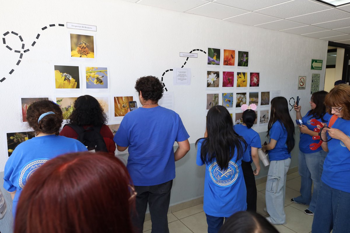 UTPPoficial's tweet photo. Inauguramos la exposición El Paraíso de las Abejas Solitarias, Desierto de Sonora; con 35 obras de la artista Diana Caballero Alvarado en la #UTPP https://t.co/vUohdKHc87