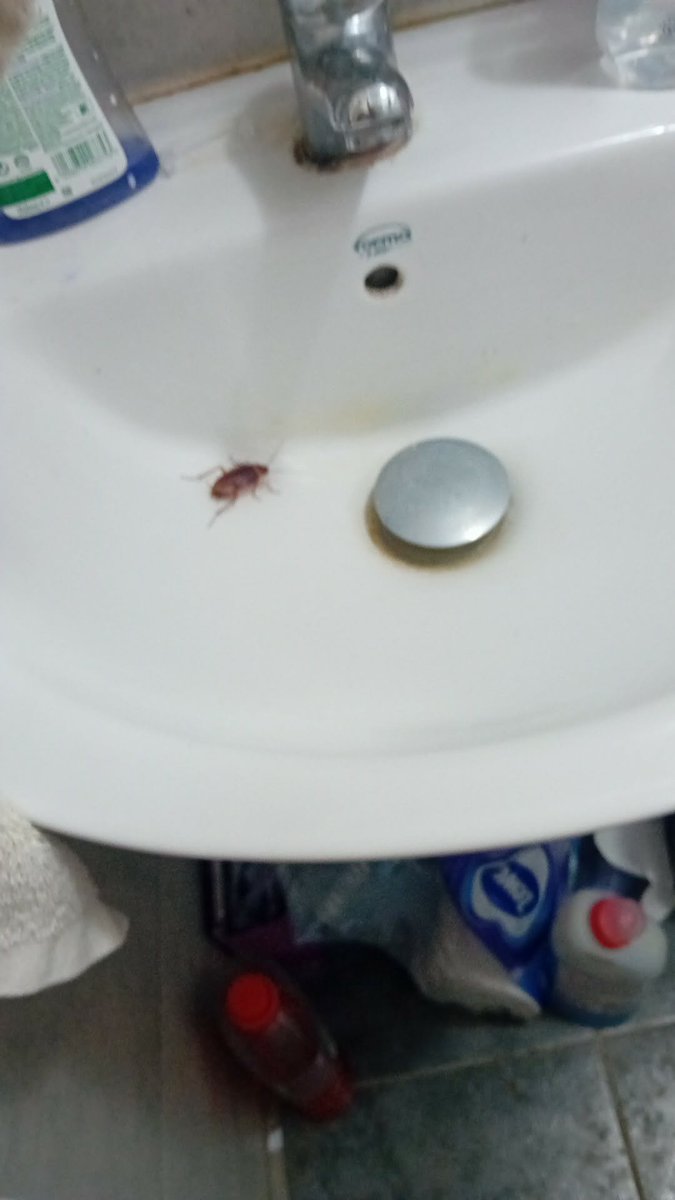 0rabidrabbit's tweet photo. Im killing myself https://t.co/lu2KSjsWx7