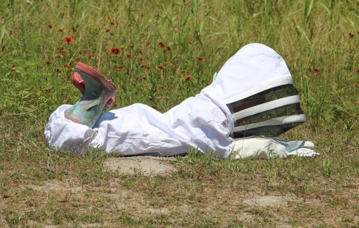 prtygal777's tweet photo. 4 years old beekeeper distracted by a roly poly https://t.co/OrnnmC6ofL