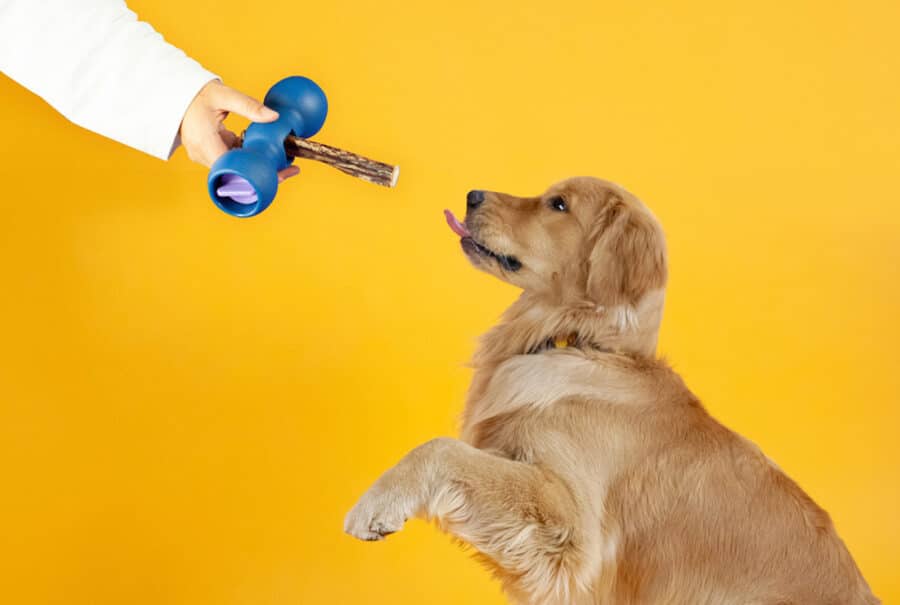 DogTipper tweet picture